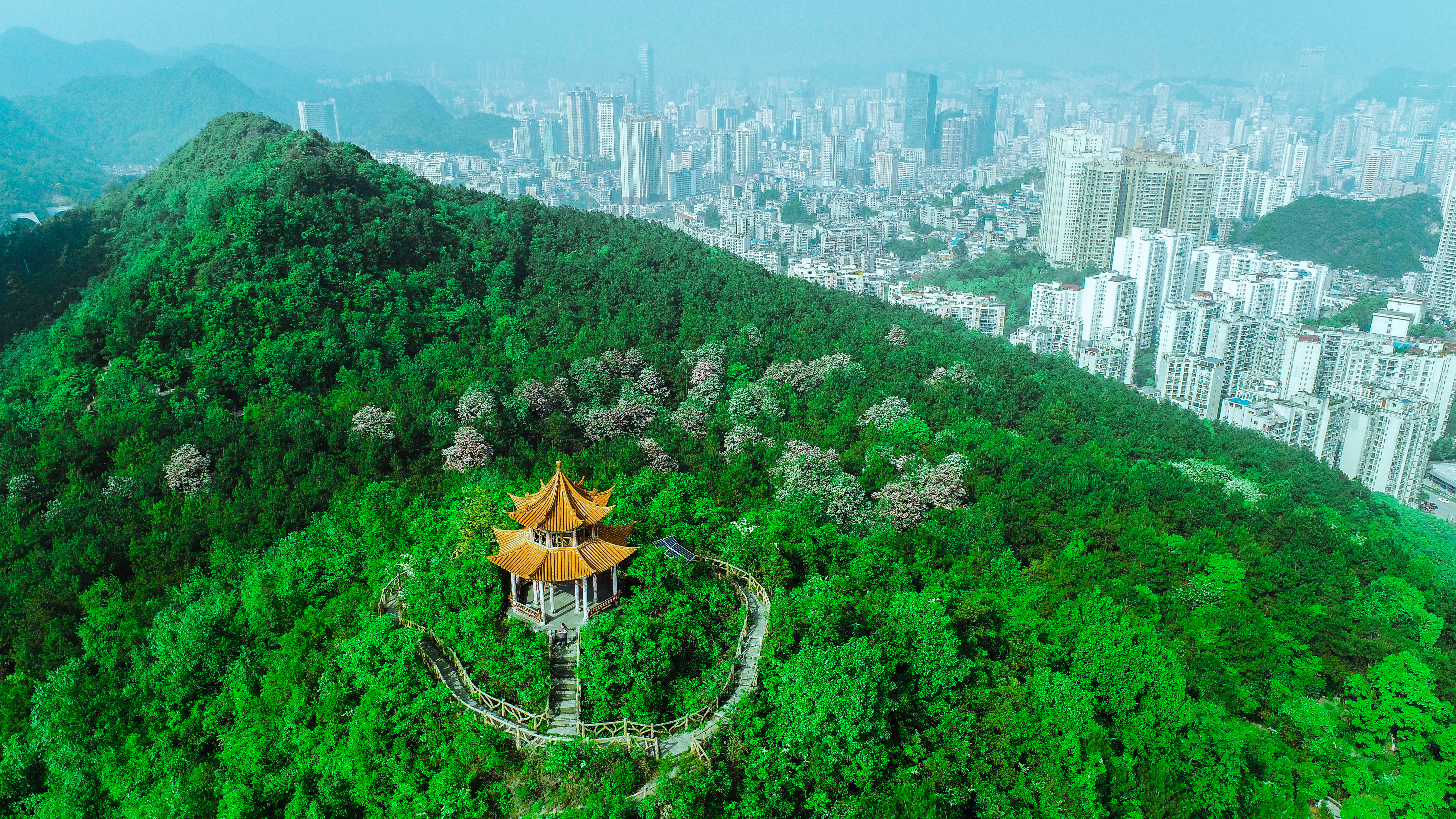 南明区兰花坡森林公园