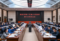 市第十五届人民政府第94次常务会议