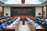 市第十五届人民政府第95次常务会议