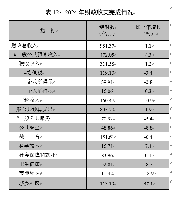 【018】表12-2024年财政收支完成情况.png